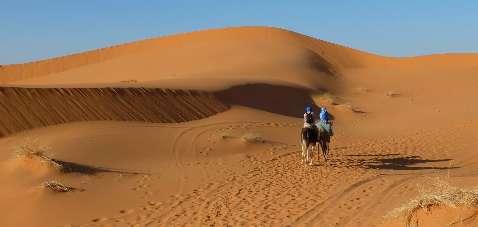 Horseback Riding Through Shahdad Desert