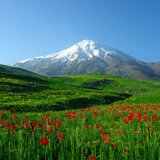 Around Mount Damavand 2 523x523 - BEST Mount Damavand Trekking Tours in Iran 2024 - Exclusive Camp