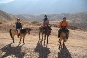 Haft Barm Horseback Riding Tour