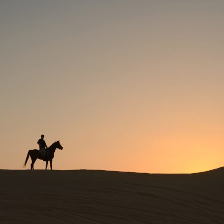 Through Shahdad Desert 6 449x449 - Iran Horseback Riding Tours & Packages 2024