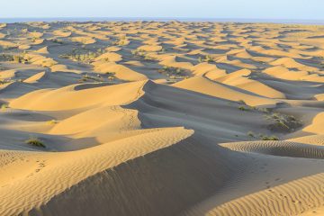 Fahraj Desert & Cultural Attractions Tour
