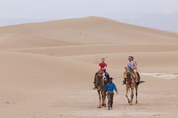 Shabahang desert p 360x240 - Gandom Beryan