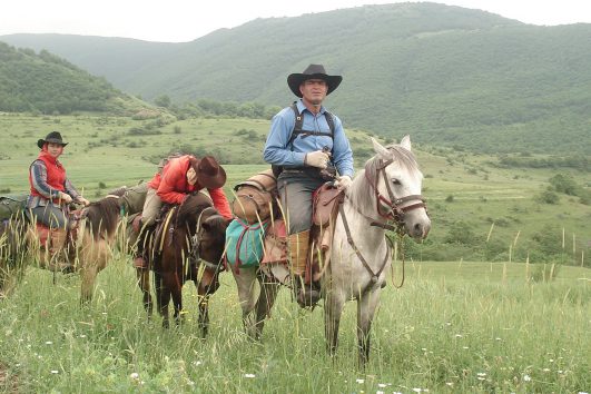 horse header1 531x354 - Mount Sabalan Trekking Tours & Packages