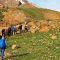 Lajvar Big Wall Climbing Tour – Chot Flank