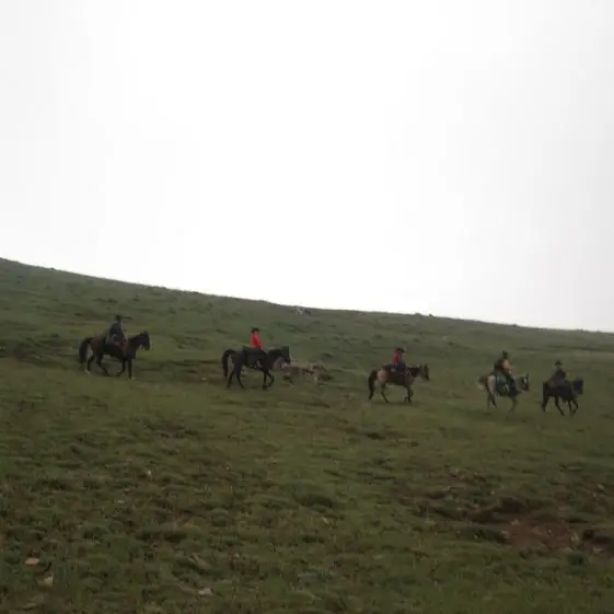 Around Mount Damavand 7 561x561 - Iran Horseback Riding Tours & Packages 2024
