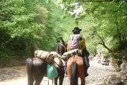Discover Kahkaran on Horseback