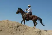 Horseback riding on the Southern Beaches in Iran