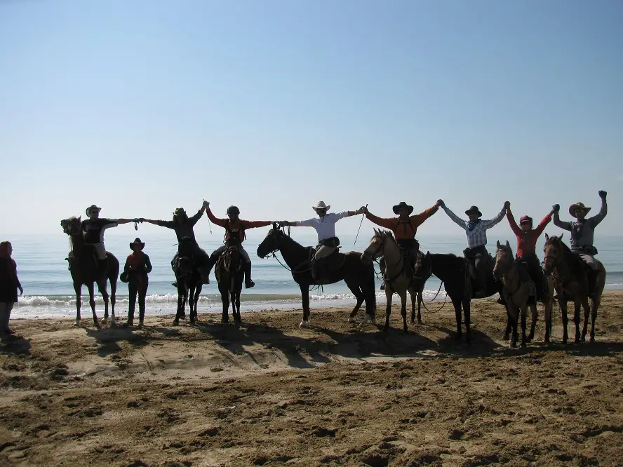 Southern Beaches on Horseback 2 - Iran Horseback Riding Tours & Packages 2024