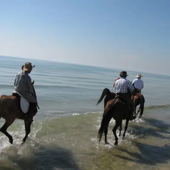 Southern Beaches on Horseback 6 561x561 - Iran Horseback Riding Tours & Packages 2024