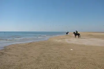 Southern Beaches on Horseback p 360x240 - Iran Horseback Riding Tours & Packages 2024