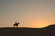Horseback Riding Through Shahdad Desert