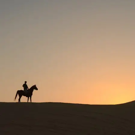 Through Shahdad Desert 6 449x449 - Iran Horseback Riding Tours & Packages 2024