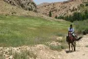 Trail Riding on Shiraz Mountains