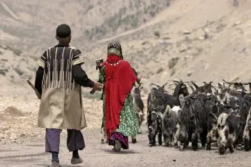 Beside Bakhtiari Nomads p 360x240 - Iran Nomad Tours & Packages 2024