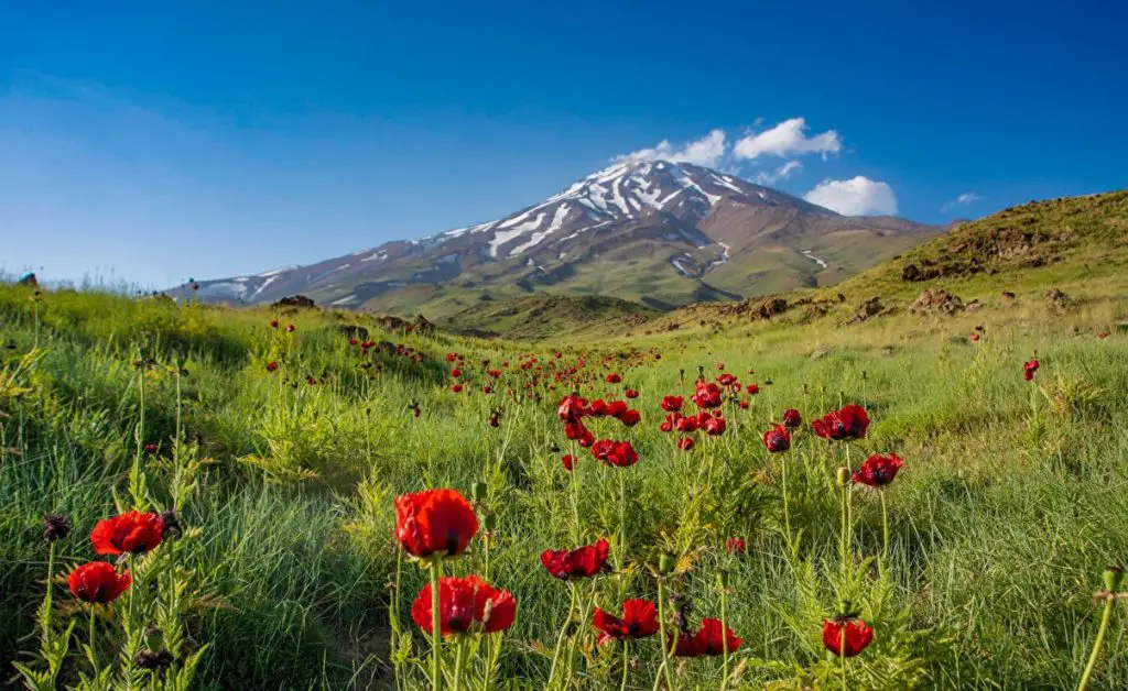 Damavand northeast face 1024x628 - All You Need to Know about Mount Damavand