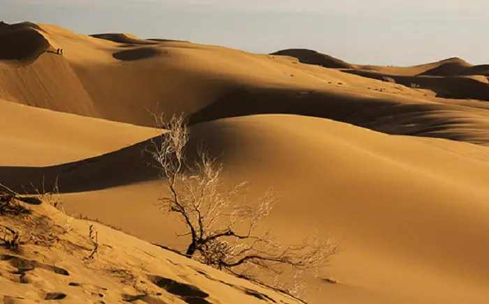 Kavir National park - A Complete Guide to Iran Deserts