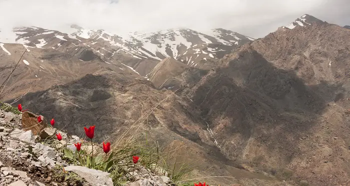 Tochal view 2 - Tochal Mountain Guide